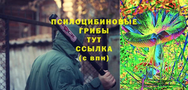 твердый Алексеевка