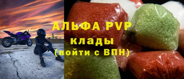 гашик Каменка